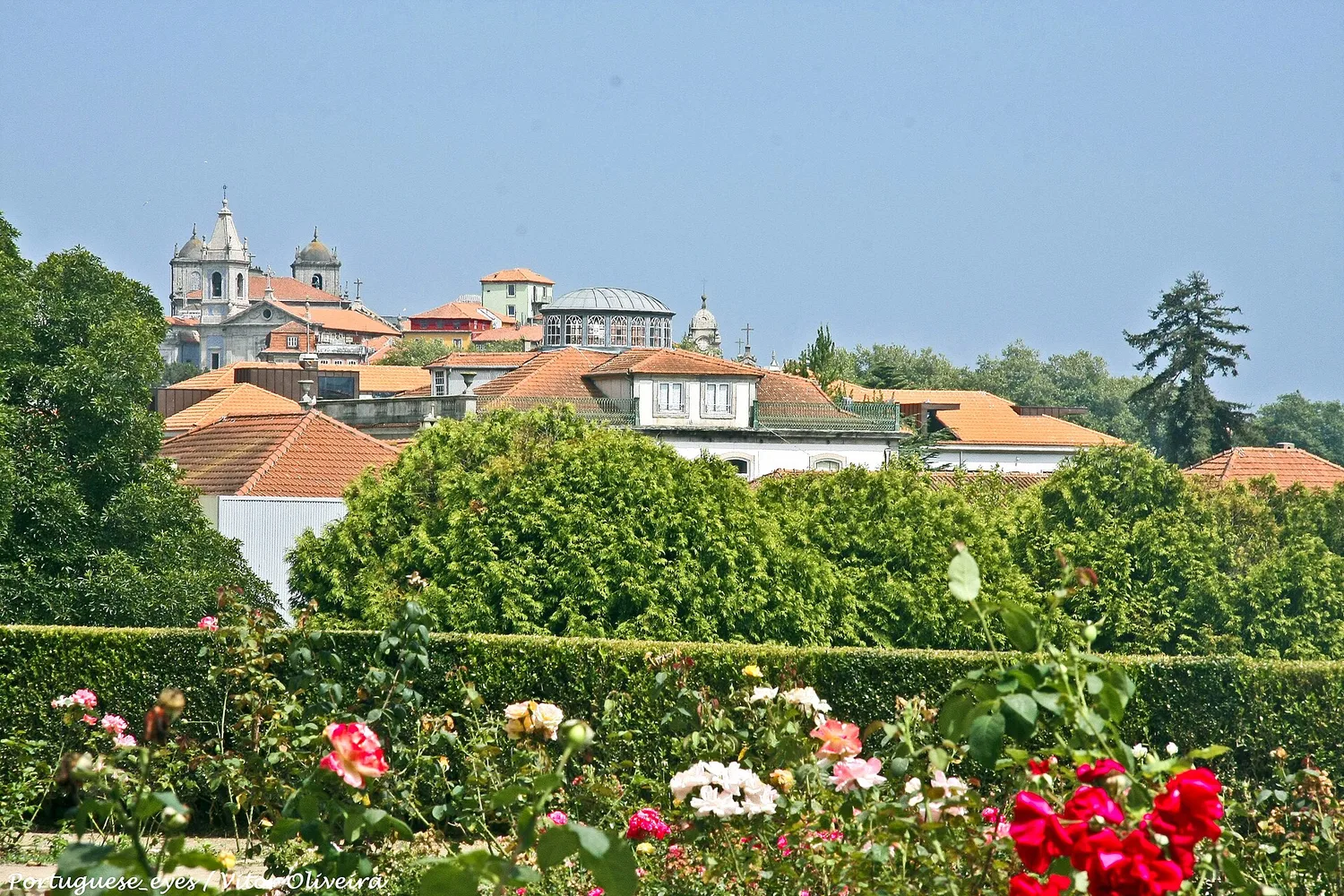A Biblioteca Municipal Almeida Garrett, no Porto.